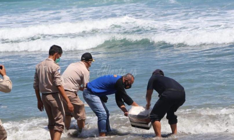 Polda Bengkulu Gagalkan 4.335 Ekor Benur di Kaur