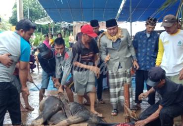 Husni Thamrin saksikan langsung pemotongan hewan kurban