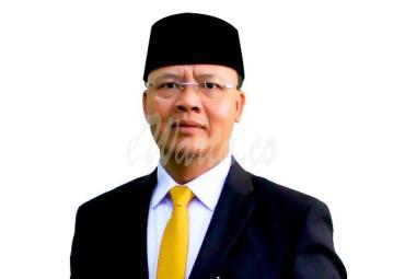 Rohidin Mersyah, Ketua DPD Golkar Bengkulu