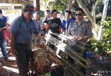 Camat Lais ( Heri Supana) dan anggota Polsek Lais sedang mengurusi jasad korban