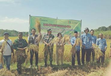 Danramil Batangan, Babinsa akan selalu siap dampingi petani