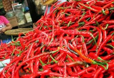 Cabai merah merajai harga kebutuhan pokok dan menjadi penyumbang inflasi tertinggi