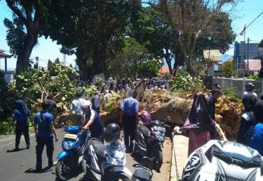 Pohon tumbang, Satu korban lagi meninggal dunia