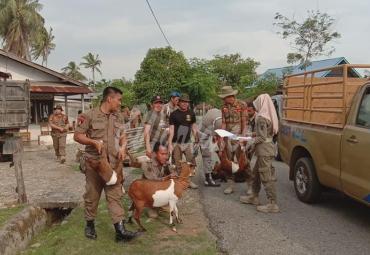 Tim Gabungan kembali laksanakan Razia ternak. 