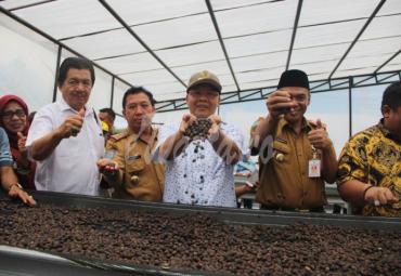 Salah satu kopi unggulan Bengkulu.