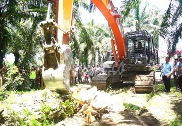 Program replanting kelapa sawit dimulai.