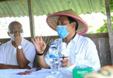 Wakil Walikota Bengkulu Dedy Wahyudi didampingi Kepala Perum Bulog Divre Bengkulu Defrizal serta Kepala Dinas Pangan dan Pertanian Syahrul Tamzie melakukan peninjauan kondisi padi di persawahan Kota Bengkulu di Kecamatan Singgaran Pati, Selasa (21/4/2020).