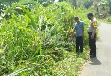Tampak petugas dan warga sedang di lokasi kejadian korban terjatuh.
