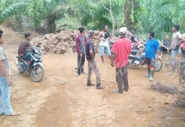 Proses pencarian Gimin