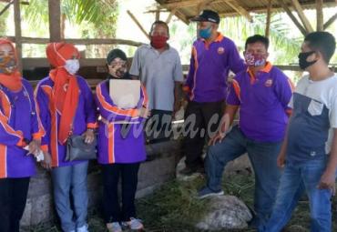 Pemeriksaan Kesehatan Kurban