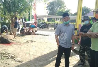 Wakil Walikota Bengkulu saat menyaksikan pemotongan hewan kurban