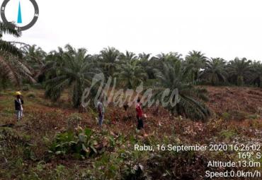 areal PT.MMAS–STGE