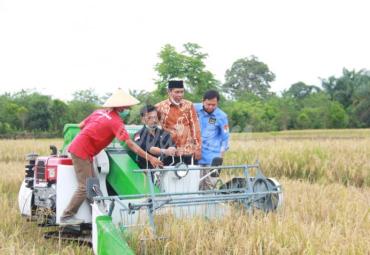 Menteri Pertanian RI Syahrul Yasin Limpo saat melakukan Panen Padi Bersama Menteri di Desa Padang Merbau Kec. Seluma Selatan, Kamis (3/12/20).