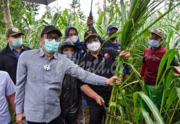  (Foto: Biro Humas KLHK)