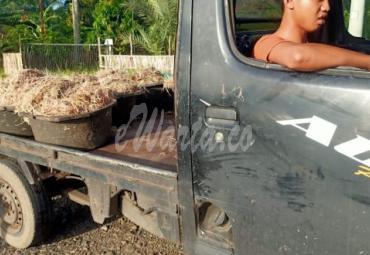 Lurah Bentiring Pergoki Warga Warga yang Hendak Buang 6 Ember Sampah Sembarangan