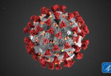 Awas!! Palsukan Hasil Tes Covid-19 Bisa Dipenjara enam Tahun