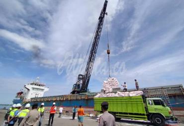 Aktivitas bongkar muat Pelabuhan Pulau Baai