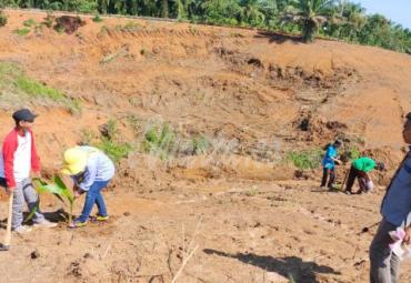 DLH Tanam 100 Pohon di Kawasan Kota Merah Putih